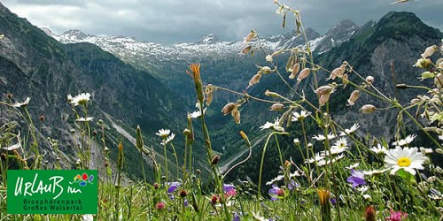 Grosses Walsertal: Urlaub im Biosphrenpark