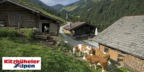 Kitzbüheler Alpen: Wo der Winter am schönsten ist