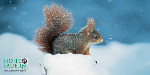Nationalpark Hohe Tauern: Lust aufs Land