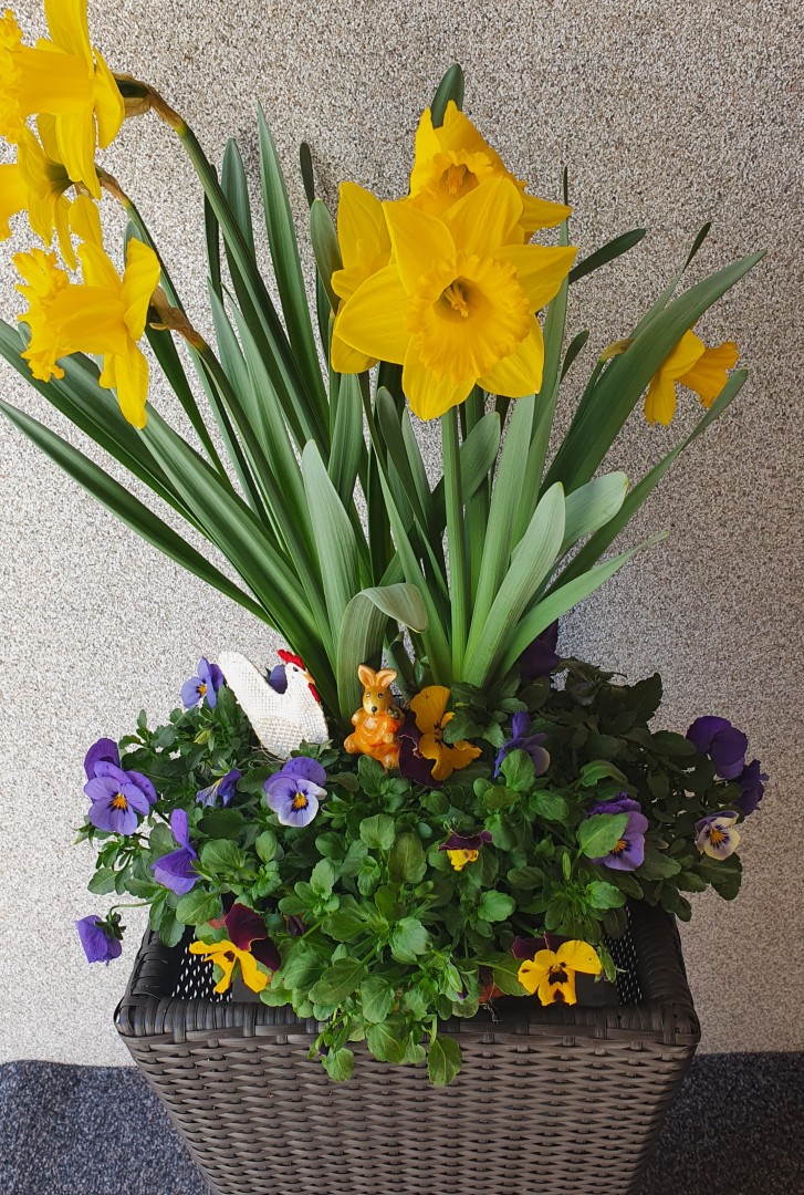 Last Minute zu Ostern ins Gasteiner Tal!
