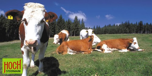 Hochsteiermark: HOCH, HHER, AM HCHSTEN