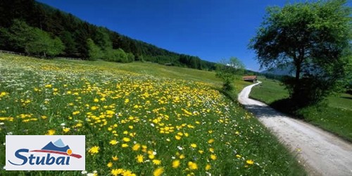 Stubaital: Gezielt ins Ferienglck!