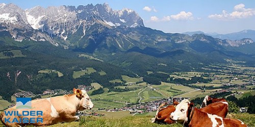 Wilder Kaiser: Ferienregion Wilder Kaiser